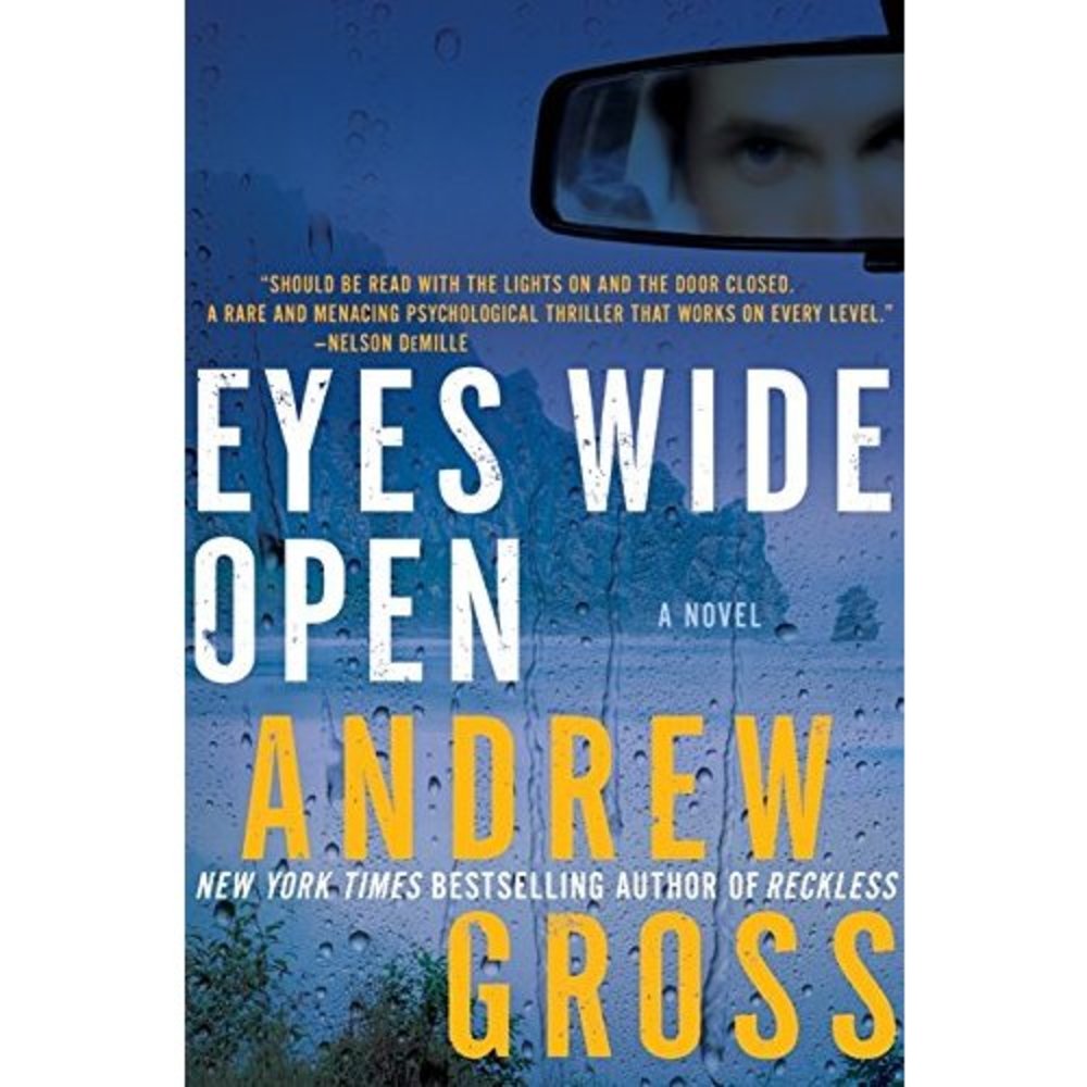 Eyes Wide Open: A Novel  (Hardcover)